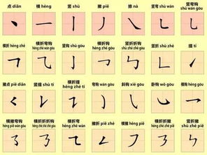 专有几笔画笔顺怎么写
