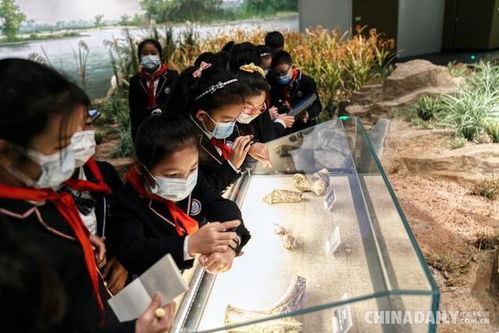 马家浜文化、河姆渡文化都是属于种植业为主。()