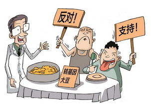 争论不休是什么意思