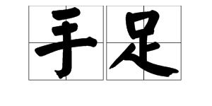 丹什么什么手的成语，丹什么什么手四字成语