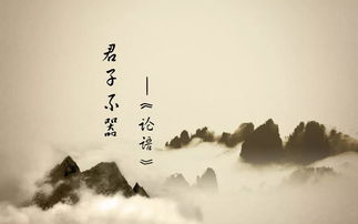 行已有耻君子不器是什么意思，行己有耻君子不器是什么意思