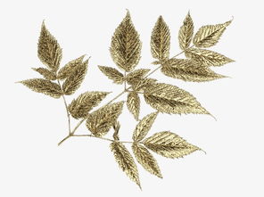 金叶子半山温泉公寓，金叶子温泉度假村别墅