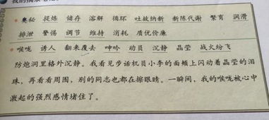 什么来什么去的词语，侍的词语
