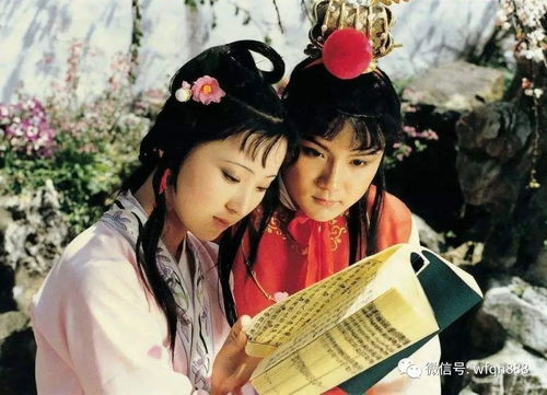 皇子的“生母”、“嫡母”、“庶母”是什么意思?