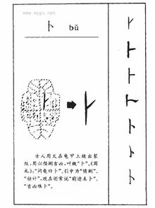 卜怎么读