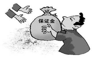 孖是什么意思怎么读