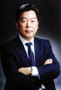 杨休 天地集团，杨体春个人资料