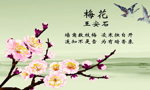 梅古诗梅花，竹古诗原文