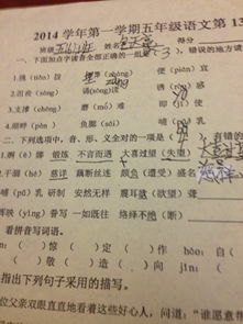 颇负盛名的颇是什么意思?