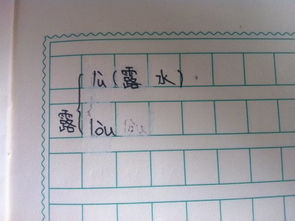 霸字组词是