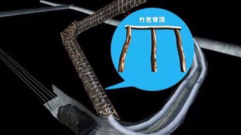 collar指的是什么?