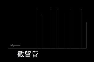 截流是什么意思