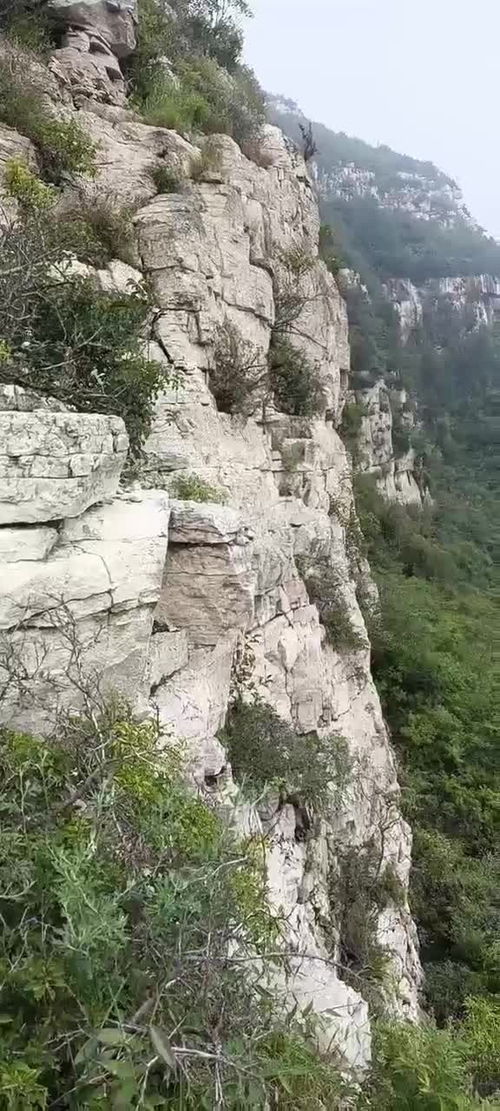 壁立千仞的拼音，壁立千仞无欲则刚出处原文