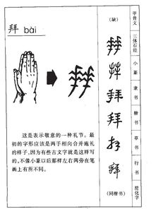 拜的部首怎么读