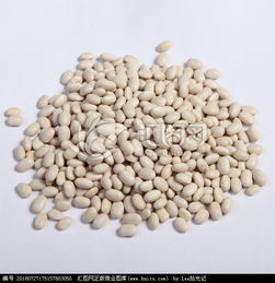 白豆是什么豆子