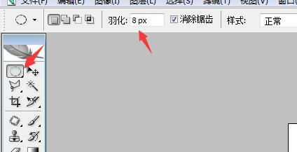蝴蝶羽化是什么意思，蜻蜓羽化是什么意思