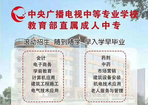 什么是电大?