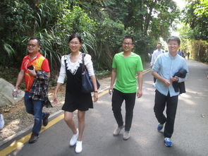 兴高采烈的拼音，兴高采烈类似的词语