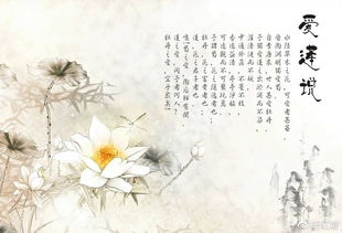 周敦颐《爱莲说》原文与翻译