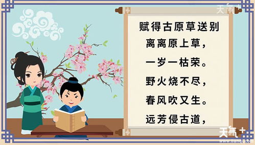 古诗草的意思和感想，古诗草的意思短