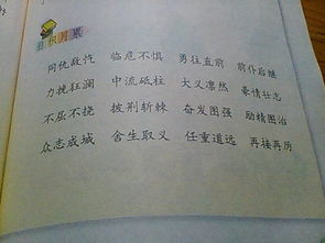 胳臂读音 胳臂念啥呢