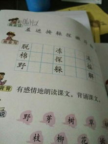 掩的组词是什么啊