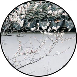 褊窄的解释褊窄的解释是什么