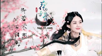 花千骨的演员表全部，花千骨是哪一年播出的