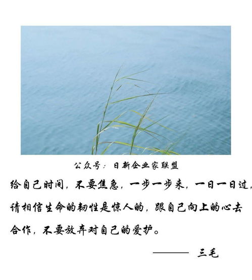 深思熟虑近义词是