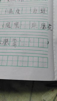 忌可以组什么词语组词，忌组什么词和拼音