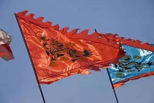 九斿白纛是什么意思，各归本纛的纛是什么意思