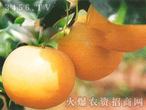 甘水怎么造句