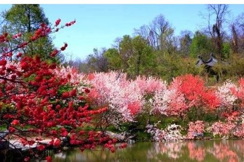 培育桃李芬芳是什么意思，又是一年桃李芬芳是什么意思
