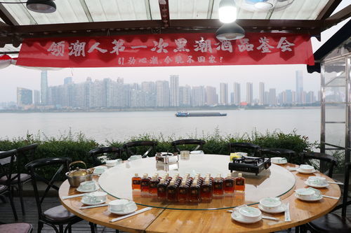 意兴盎然，意兴索然的兴是什么意思