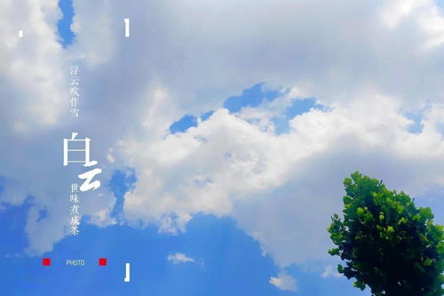 晴空万里是什么意思?