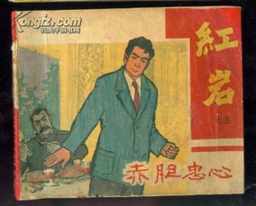 什么胆忠心的成语(什么胆忠心四字成语)