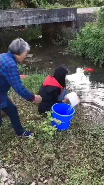 竹篮打水的意思