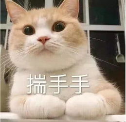 目瞪口呆的拼音。