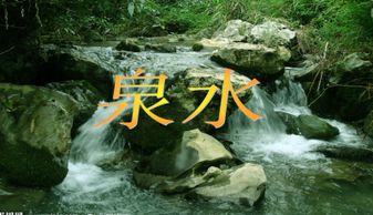 月加泉字念什么，月字加个泉水的泉念啥