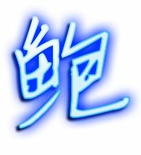 鲍读音是什么意思，鲍读音姓氏 广东话