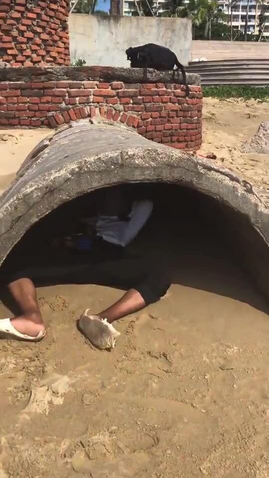 钻洞是什么意思