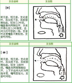 舂怎么读音正确，碓怎么读音粤语