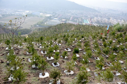 颖川是现在哪里