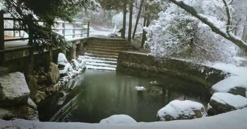 月池薰，月池碎片在哪