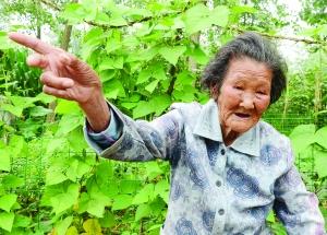 精神矍铄读音，精神矍铄怎么读音是什么意思