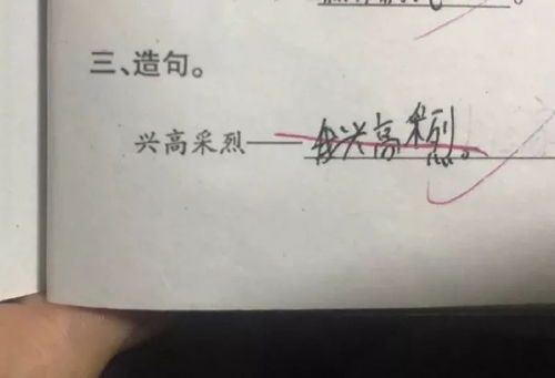 风格造句二年级，风格造句二年级下册