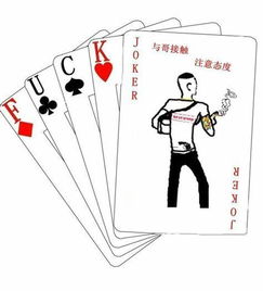 社会,社会是什么意思?