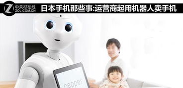 起用的意思