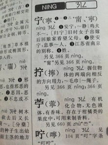 拧有扭转的意思吗?