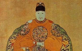 三征高丽是什么意思，三国时期高丽
